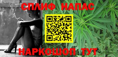 МДПВ Гатчина