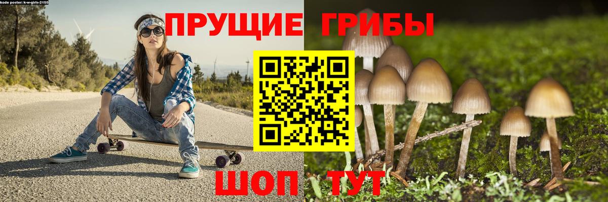 Псилоцибиновые грибы MAGIC MUSHROOMS  Вход с VPN  Лыткарино 